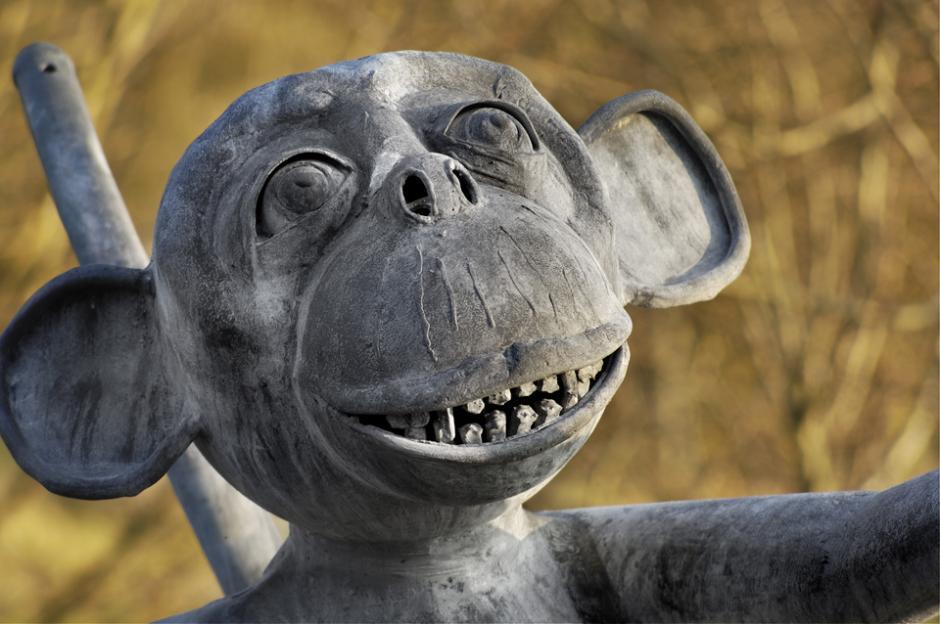 see no evil monkey