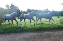 Image 3Horse
